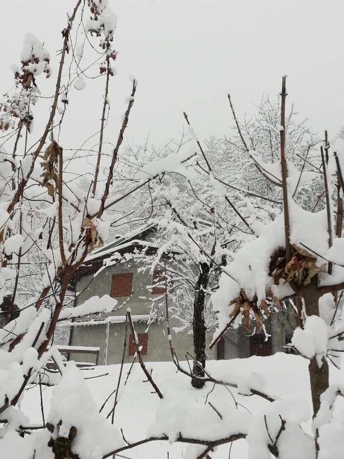 Chalet Tessa Μπελάτζιο Εξωτερικό φωτογραφία