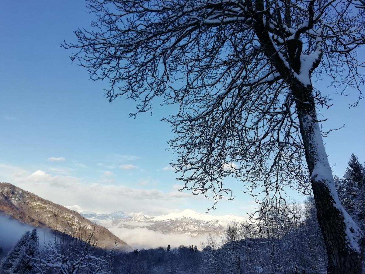 Chalet Tessa Μπελάτζιο Εξωτερικό φωτογραφία