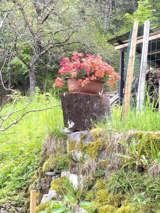 Chalet Tessa Μπελάτζιο Εξωτερικό φωτογραφία